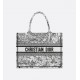 Dior Medium Dior Book Tote White and Black Paris Allover Embroidery