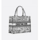 Dior Medium Dior Book Tote White and Black Paris Allover Embroidery