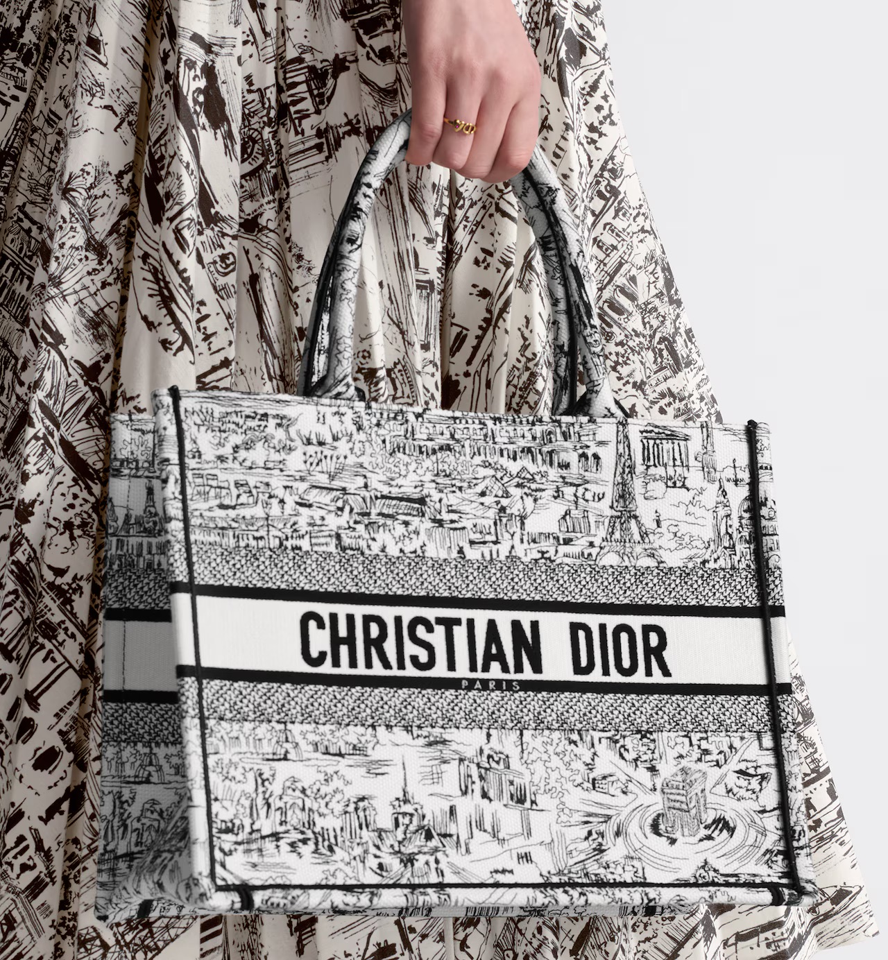 Dior Medium Dior Book Tote White and Black Paris Allover Embroidery