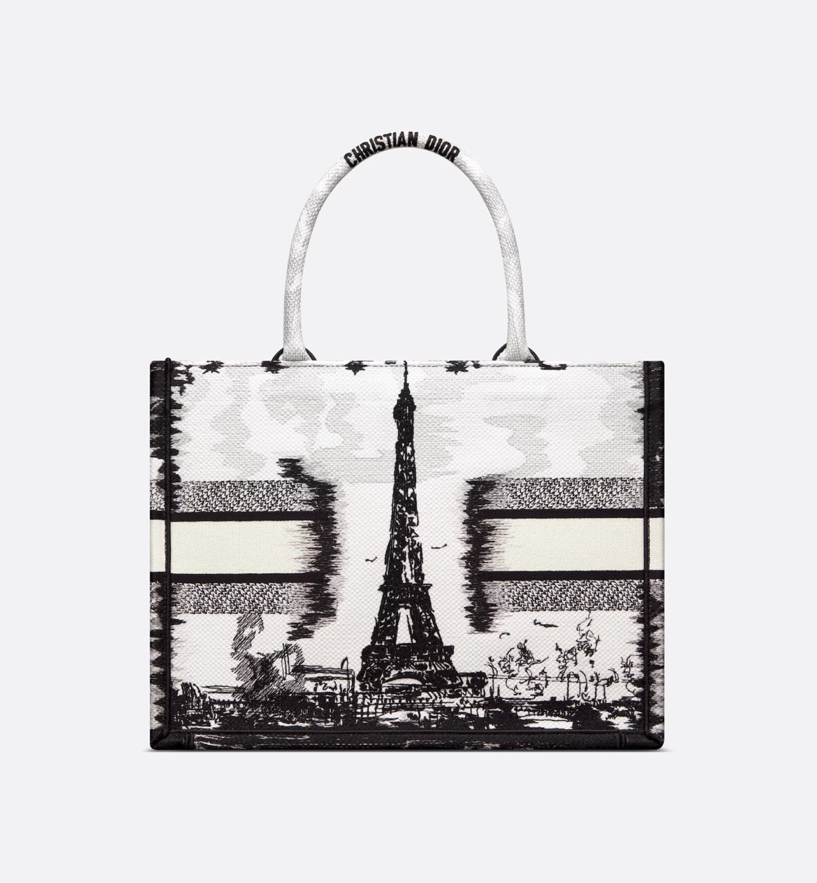 Dior Medium Dior Book Tote White and Black Paris Embroidery