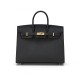 Hermès Birkin 25 Noir Epsom with Gold Hardware