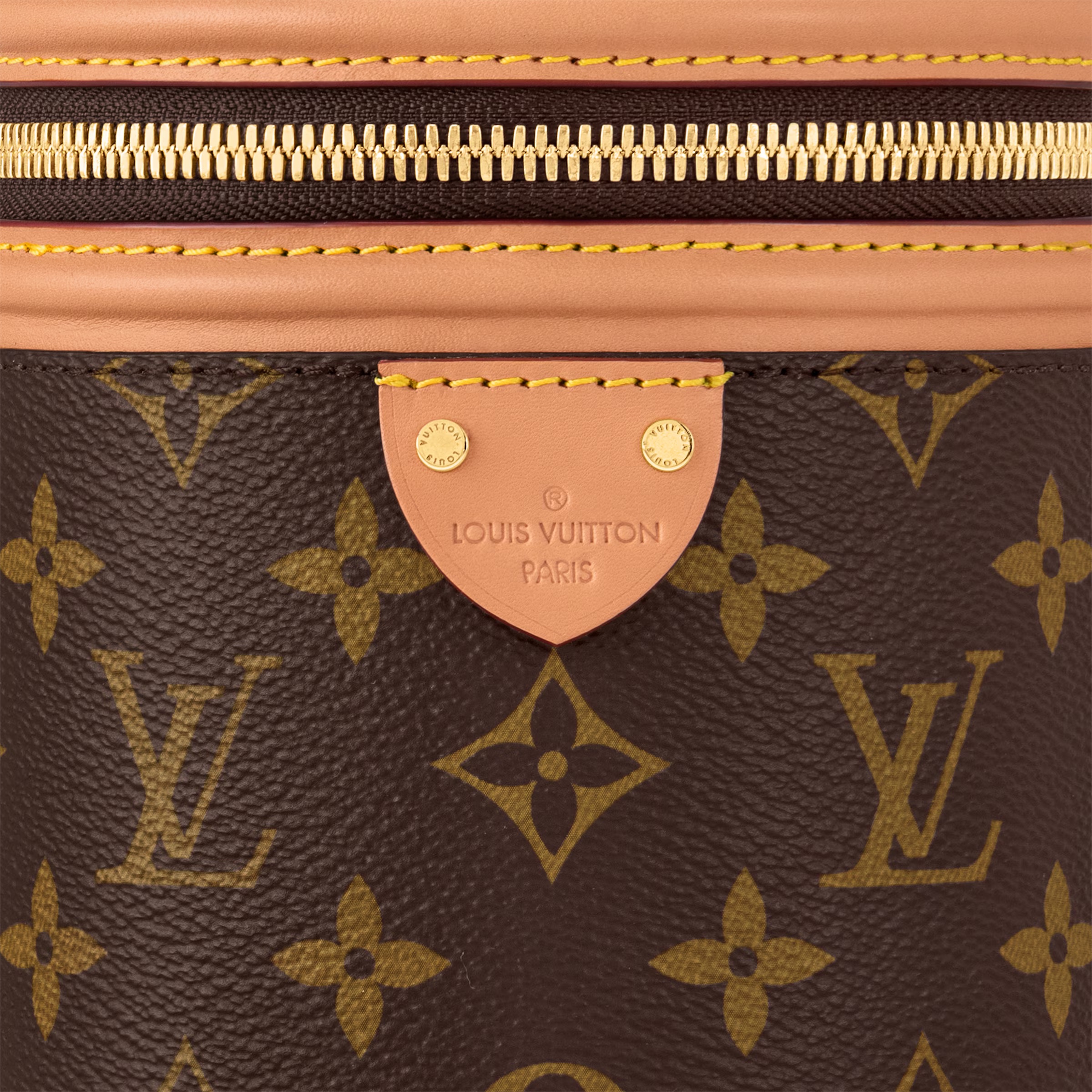 Louis Vuitton Nano Cannes LV Bag - Monogram